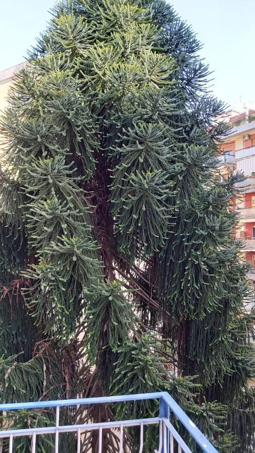 Apartmán La Casa Del Cedro Neapol Exteriér fotografie